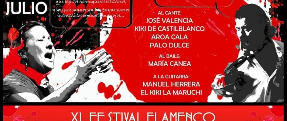 Festival Flamenco (1)