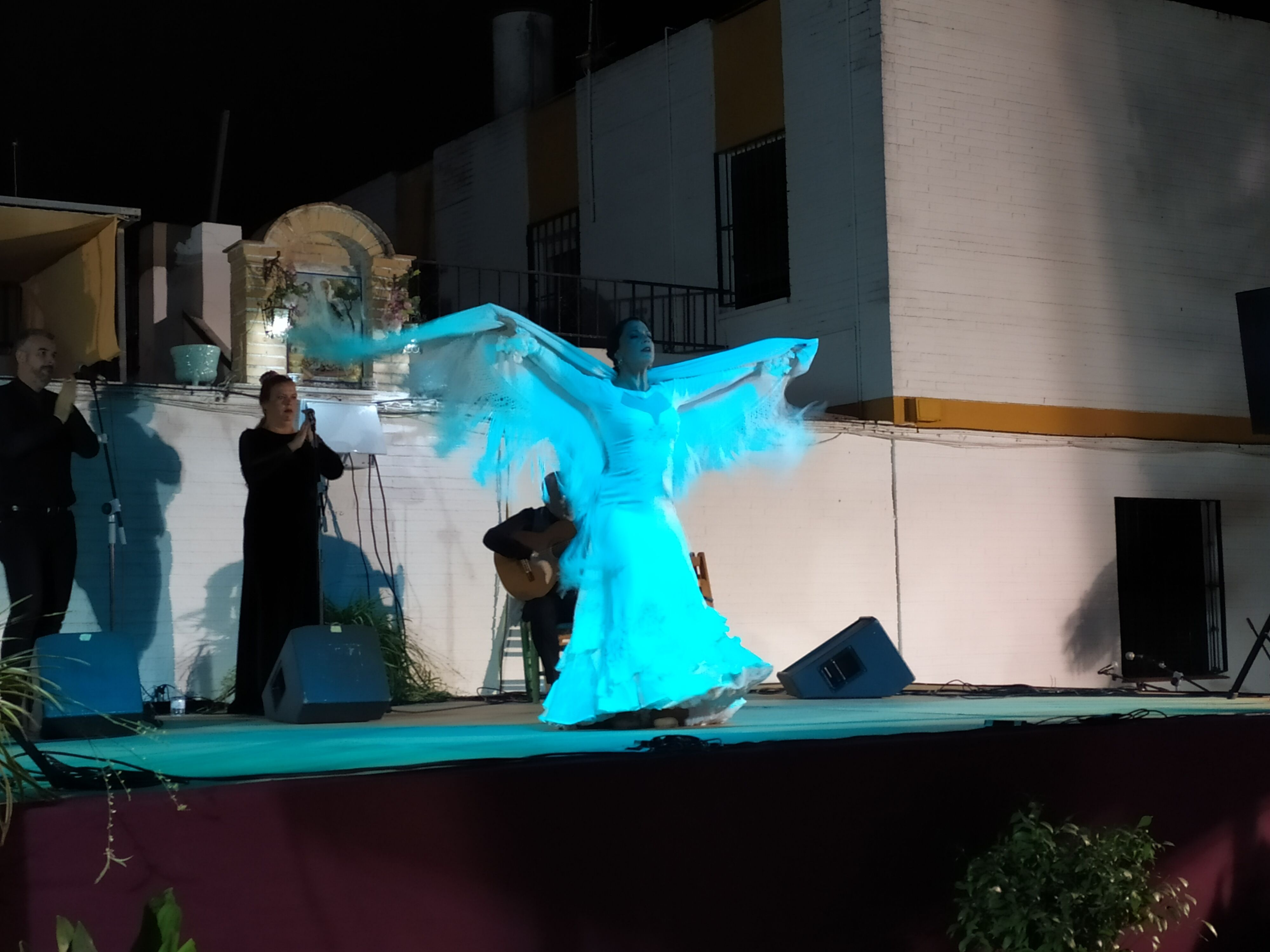 Festival Flamenco 2019 (4)