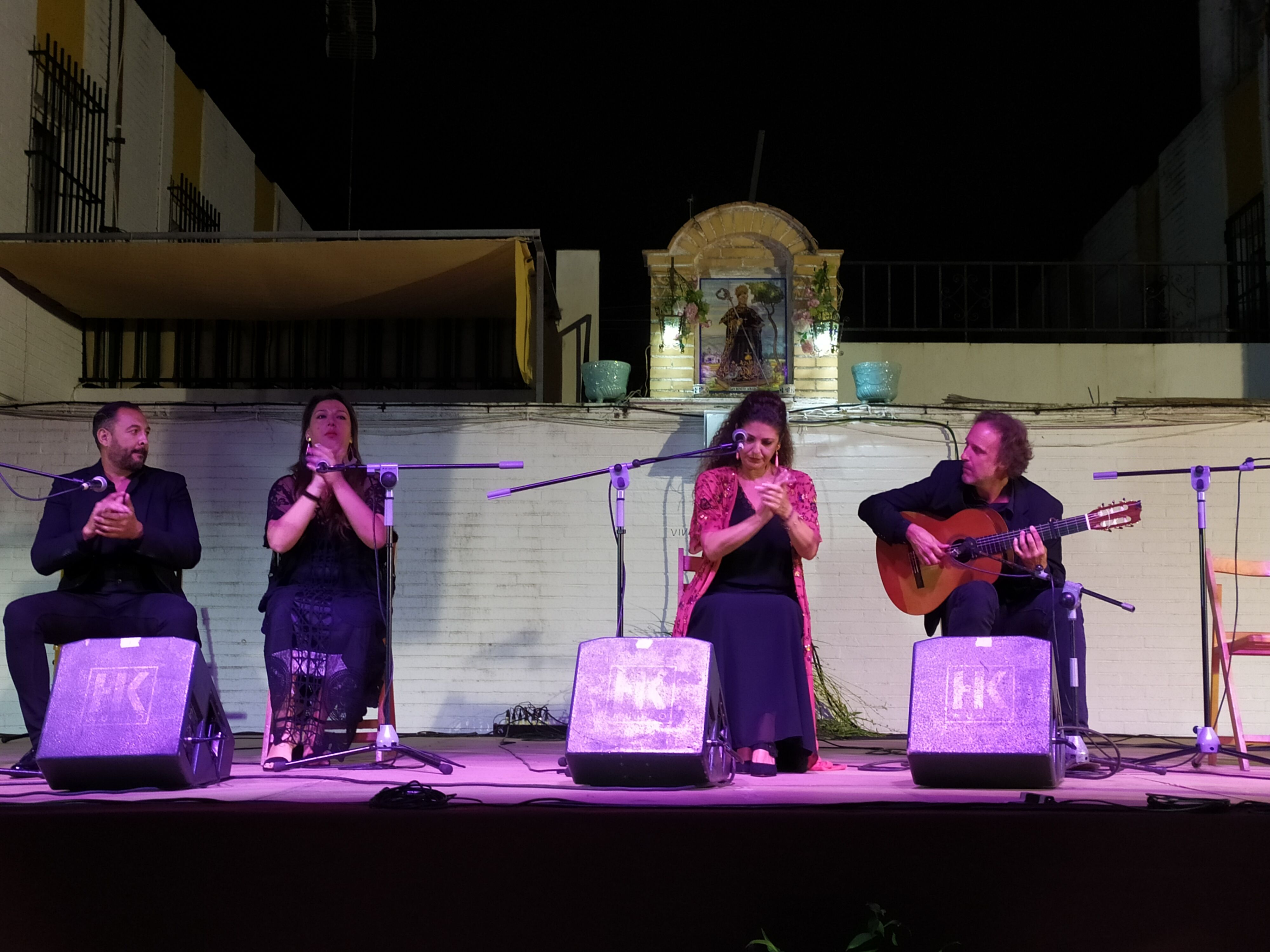 Festival Flamenco 2019 (7)