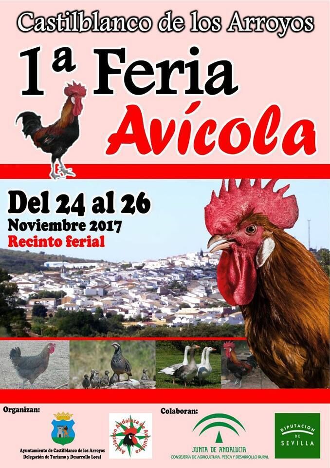 Feria_Avxcola.jpg