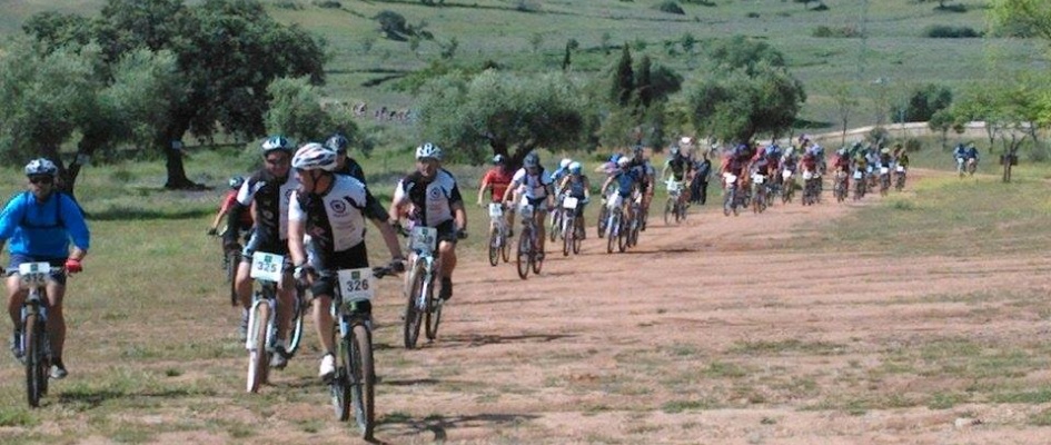 11129746_10155465031070593_376640084_n