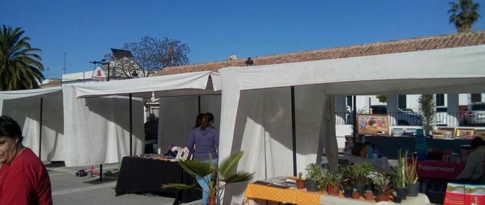 1930773_10154059959388556_4601138557705505859_n