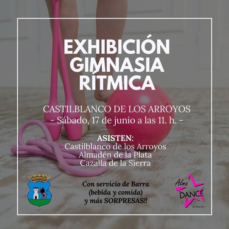 cartel clausura gimnasia ritmica