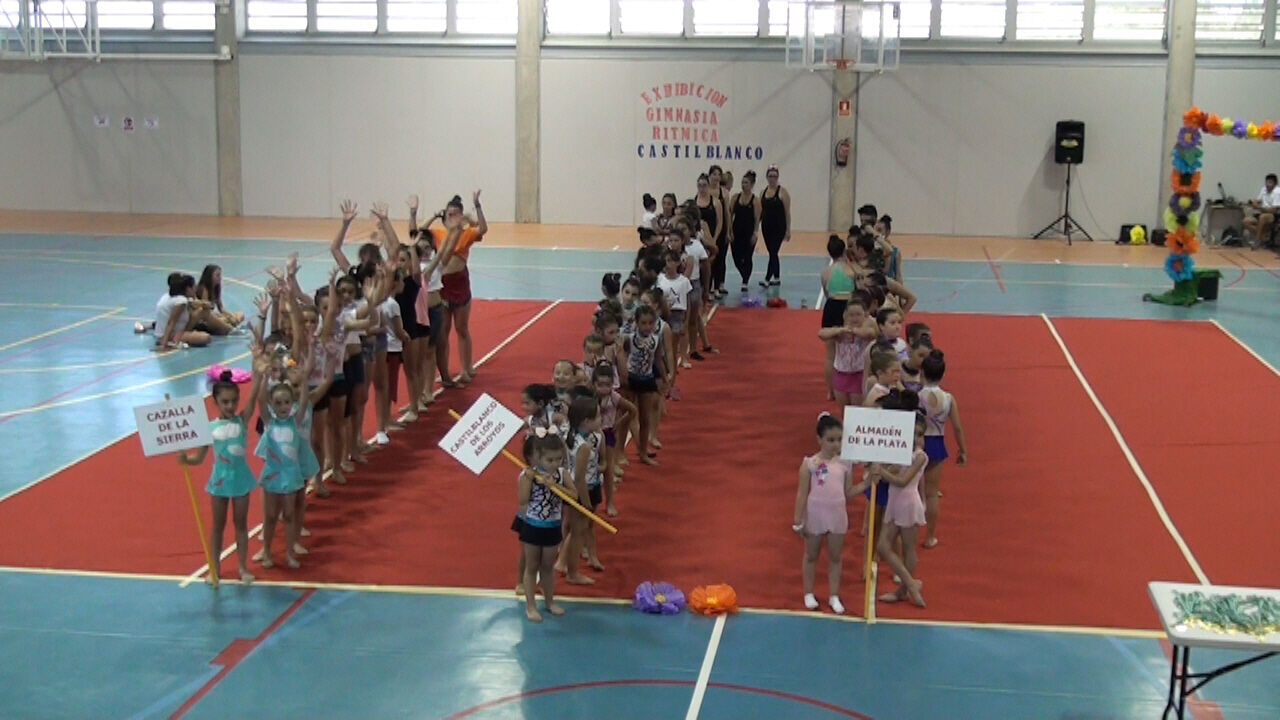 gimnasia_ritmica_4.jpg