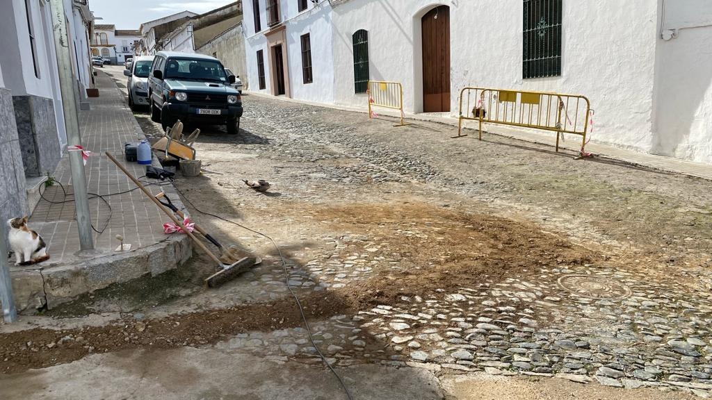 21f06501-b13e-4f6f-9eef-874641e5913d