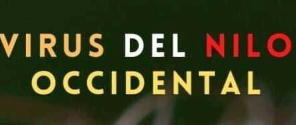 242634095_4146370762141066_6204820721105348340_n