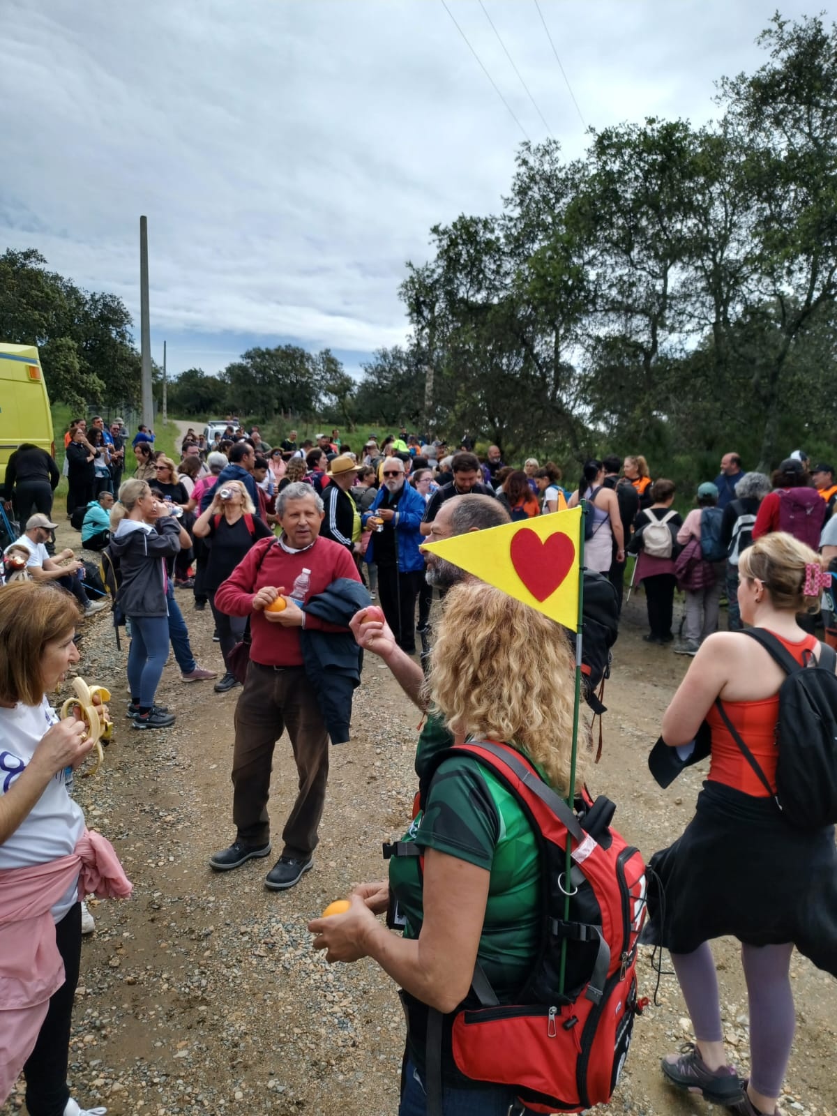 2602799b-4942-44f7-a79a-c1dc73d1fb83