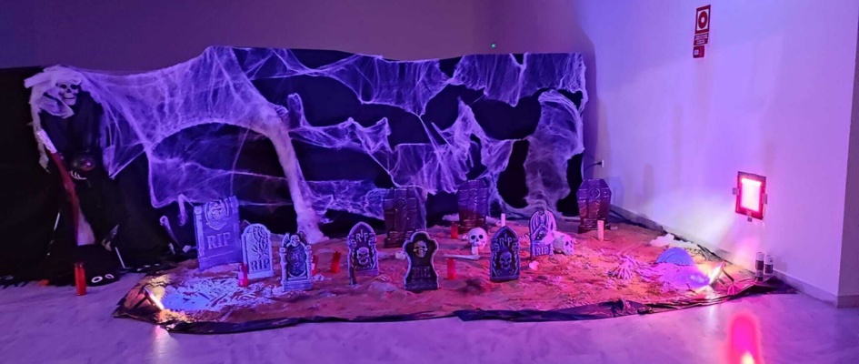 311893031_488724066617229_6543843759659304019_n