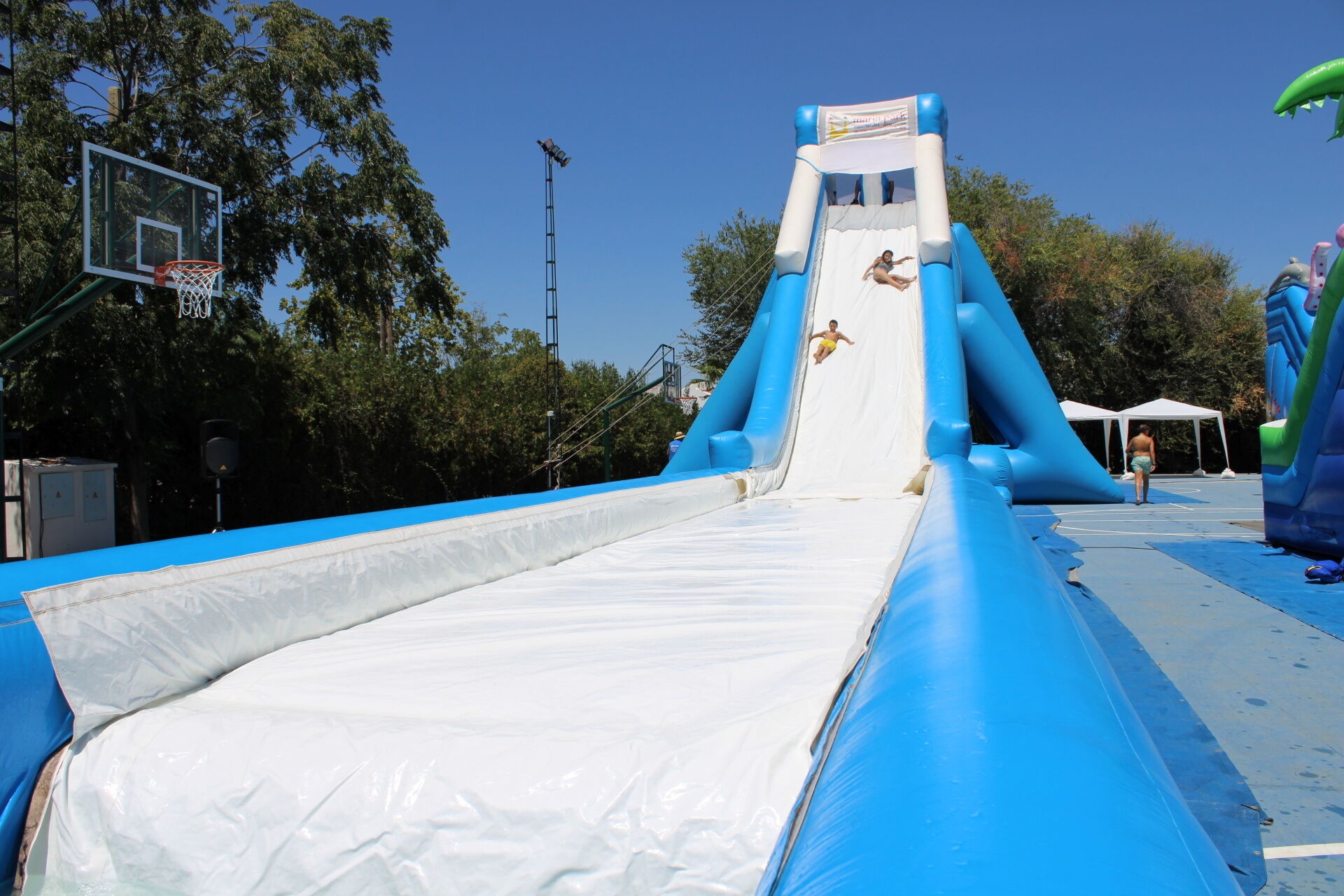 365057954_666172088872425_3350806725658880208_n