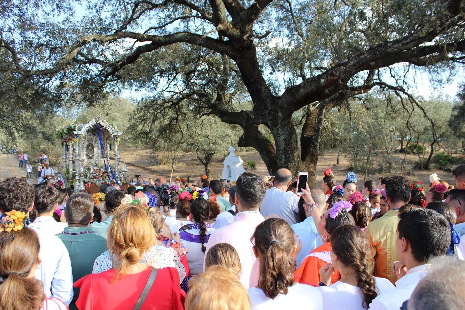 376750849_6363847713726682_1643779156471784595_n