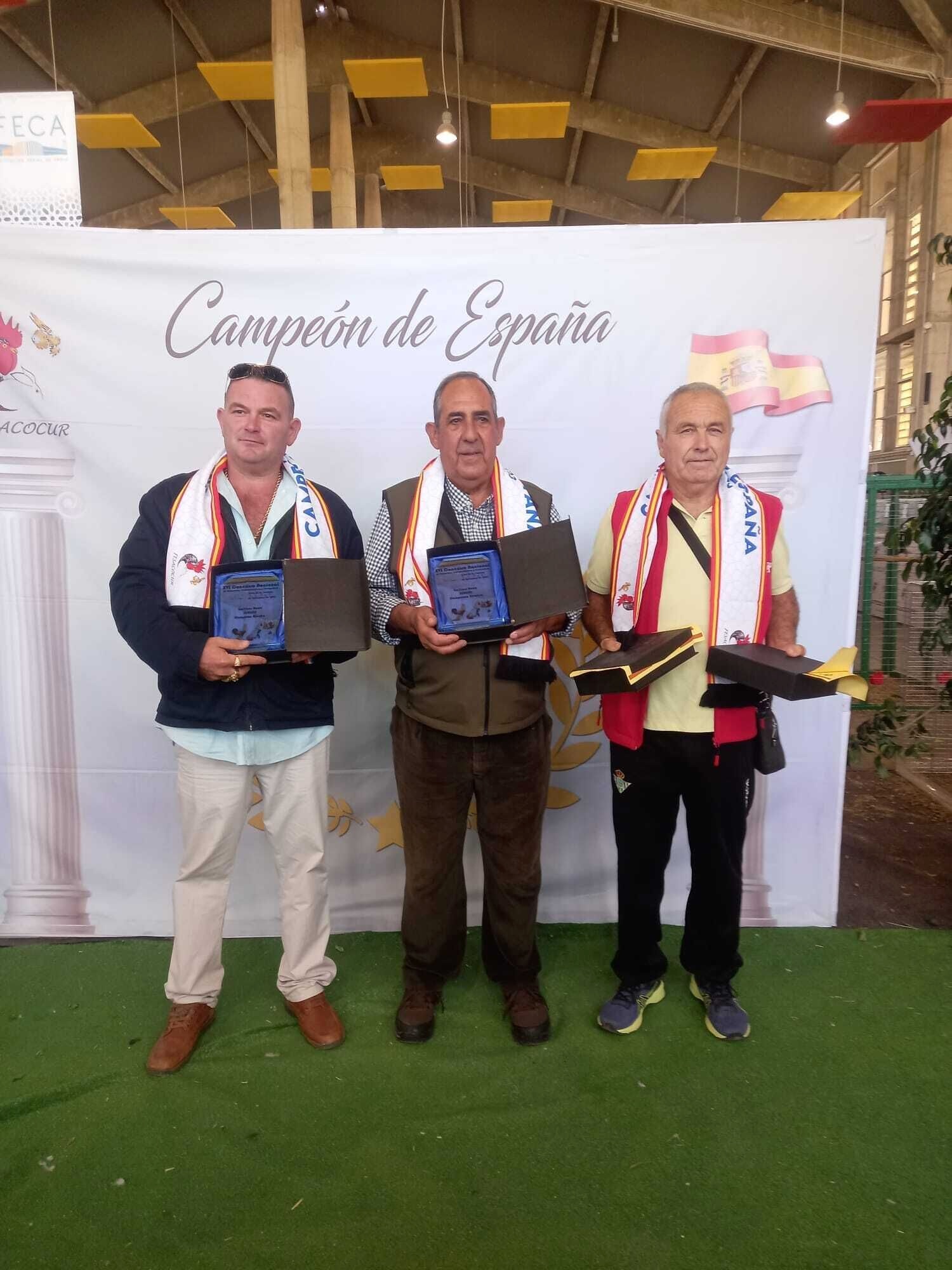 396939135_2698925460262795_5729275367246478268_n