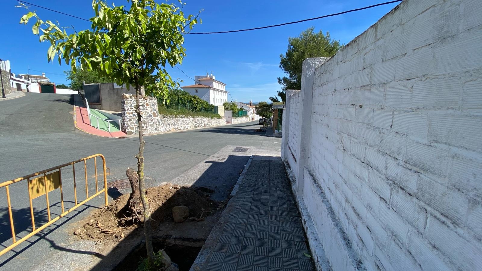 41c7c13f-74ae-44ff-ba5c-004a4af0be0c