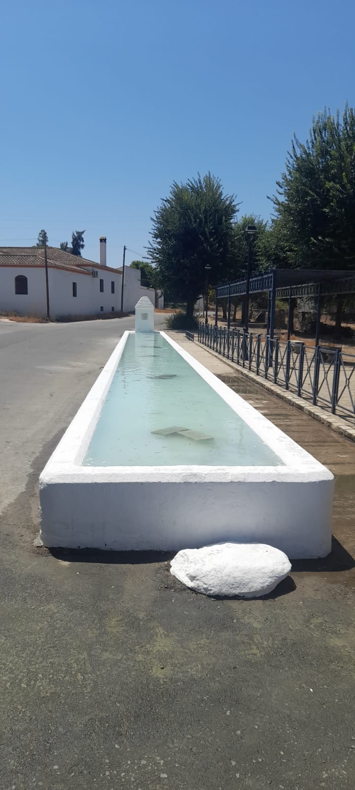 456905444_899522872204011_4009842555968599080_n