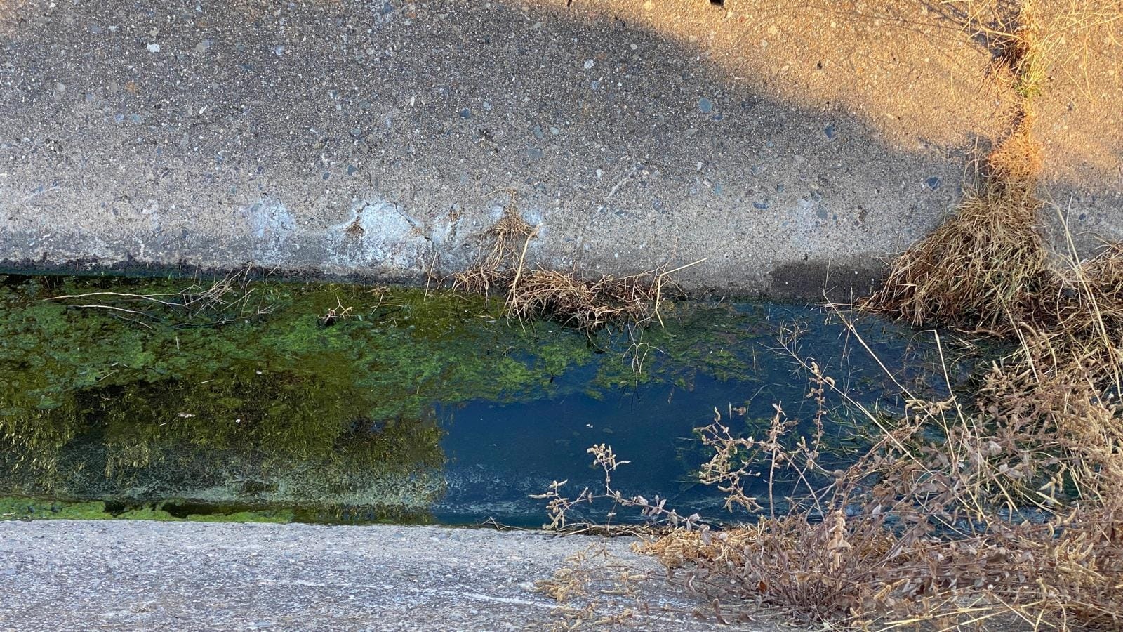 458184834_7957206251057479_4312017141619488940_n