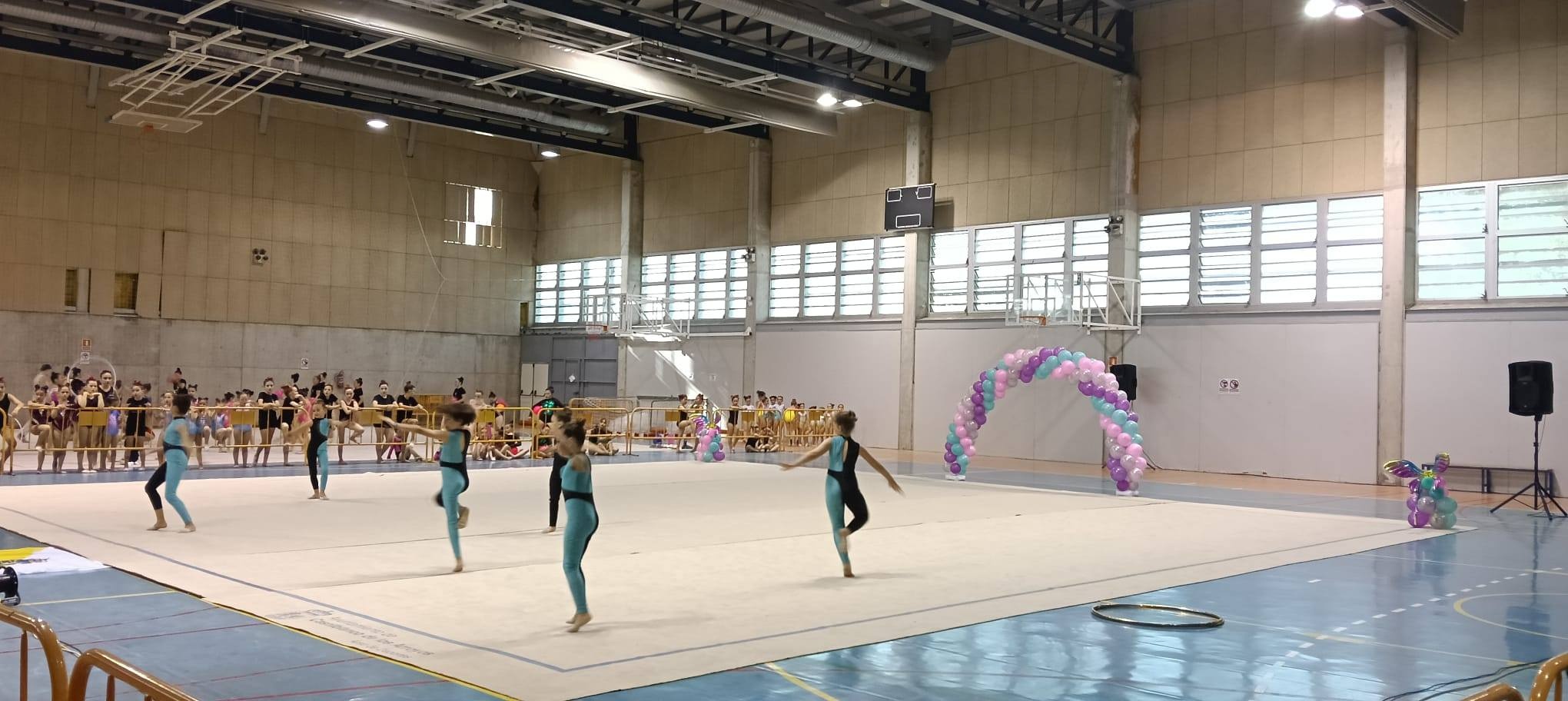 494062785_10232951199395380_4484888316679504897_n