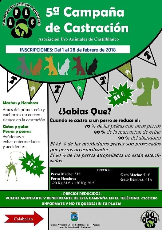 5ª Campaña de Castración Apac (2)