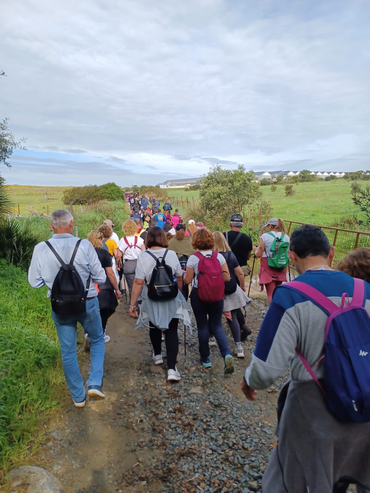 5055f461-1bb5-4d2e-b6c4-baa4274f7e94