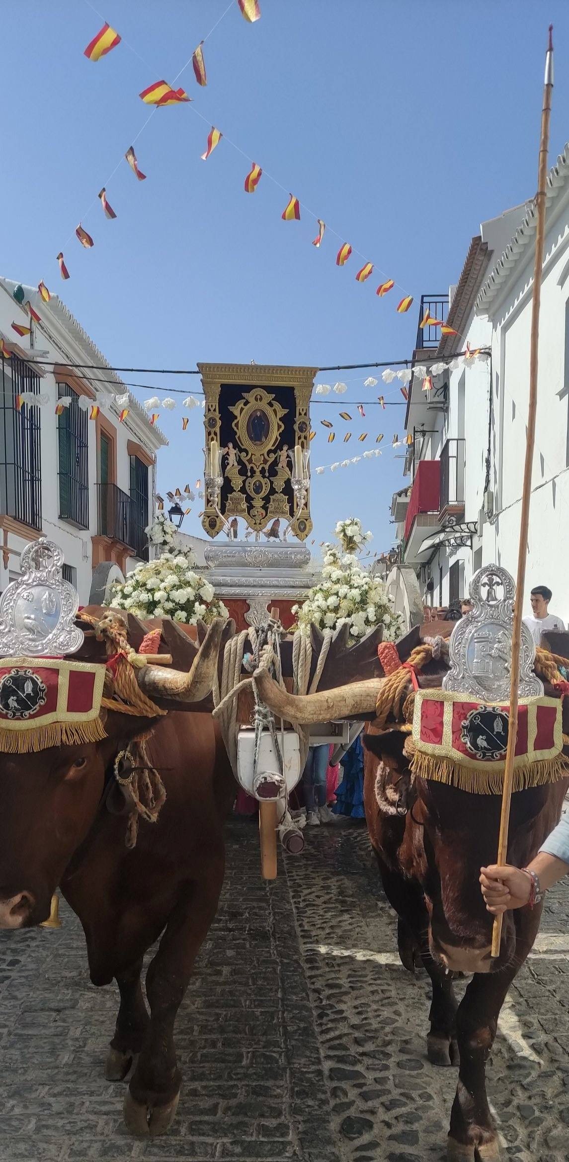 538563413_1178111107678518_6068314796080474256_n