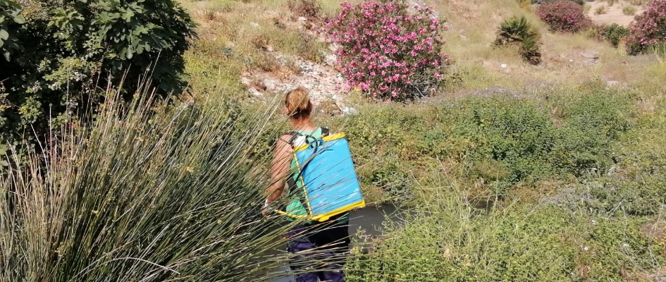 54181c94-78d2-4319-8cc7-39bfe6cca608