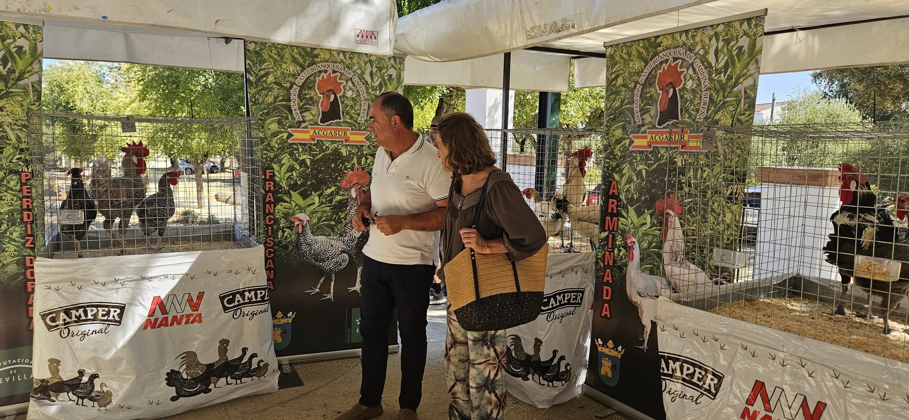 557636641_24598256479859194_3066287180123371762_n