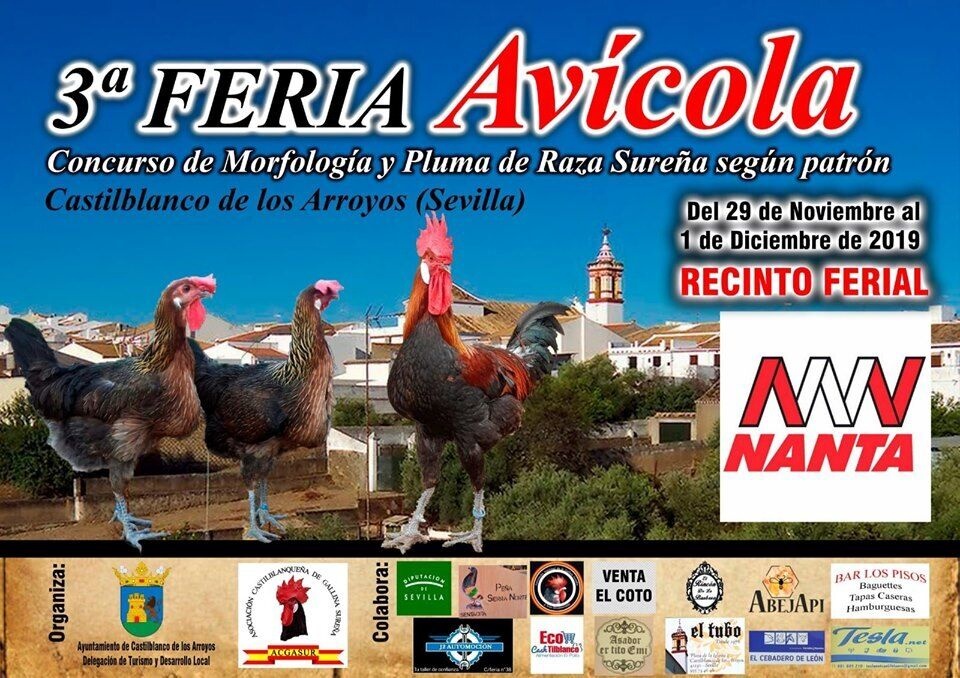 72375154_2283661998411961_8526849317787402240_n