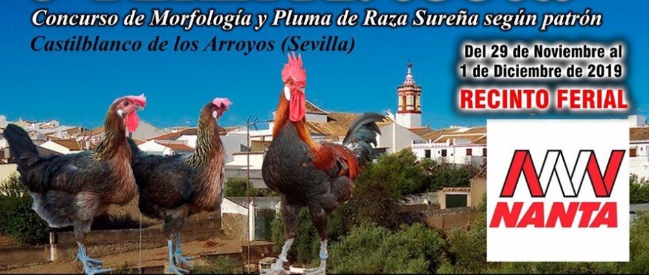 72375154_2283661998411961_8526849317787402240_n