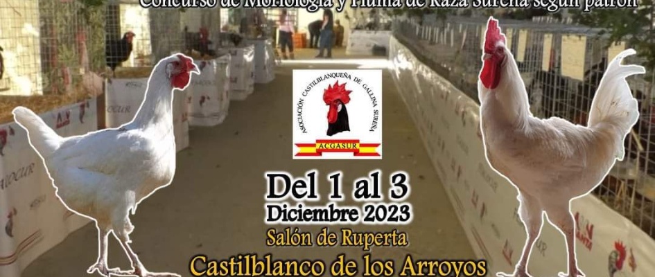 75bda49d-1785-44a1-ba69-cad3e0091498