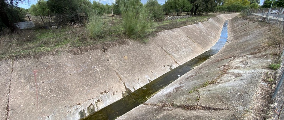 80a446d0-0e61-4aa2-b399-db5954dbe74e