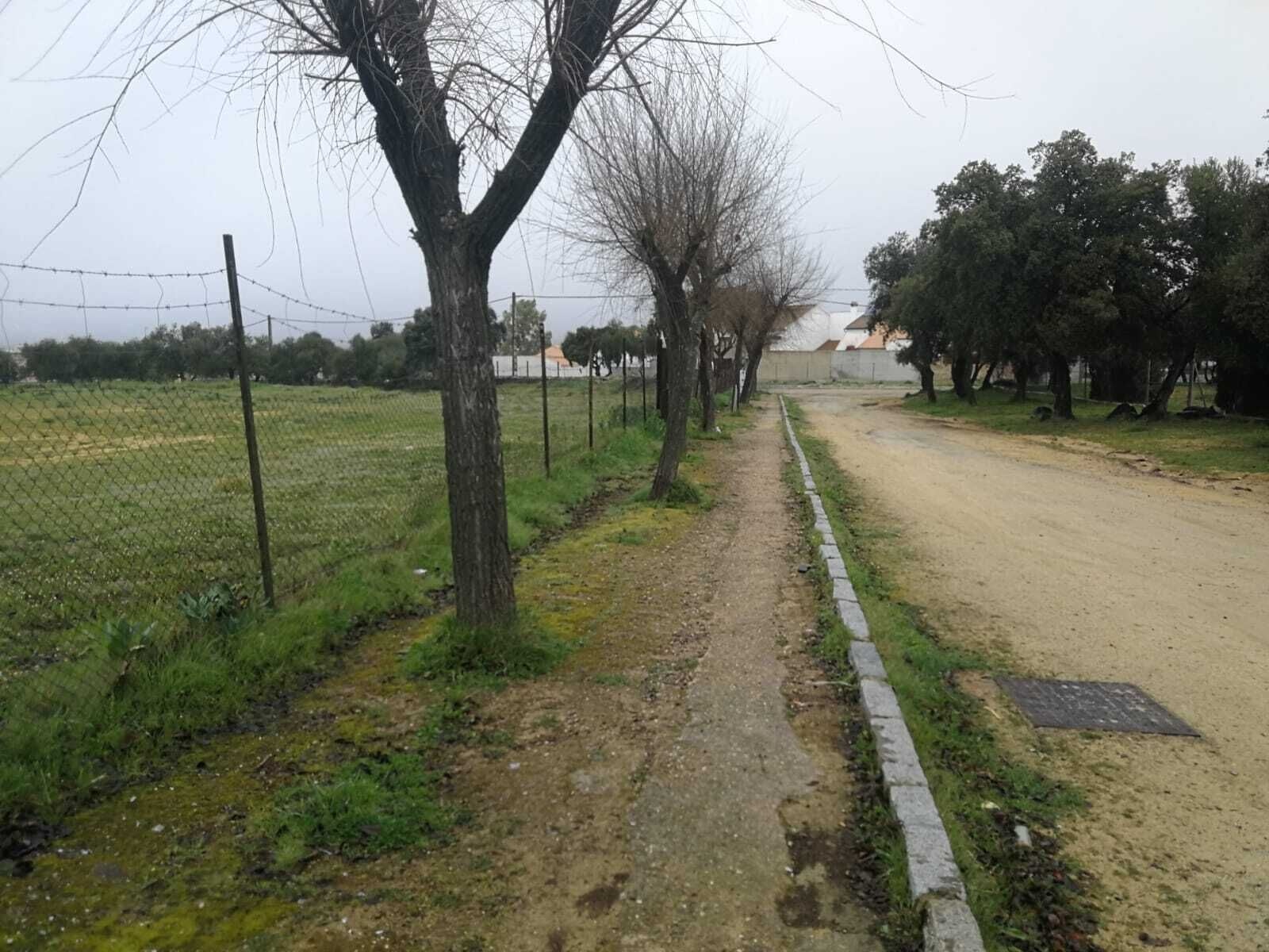 Acceso Recinto Ferial.30.01 (2)