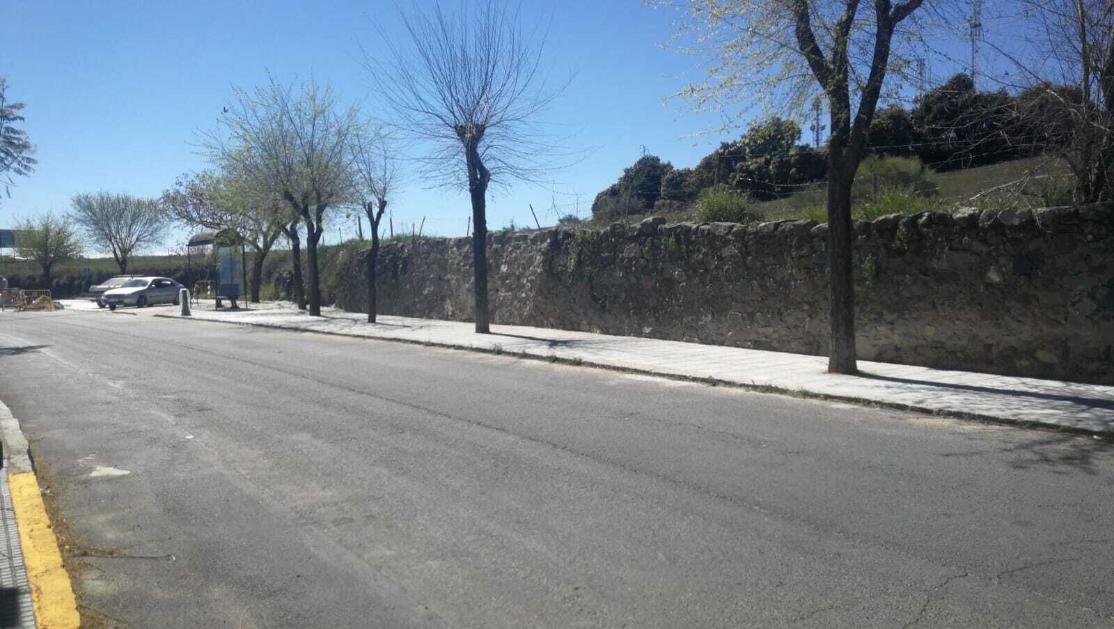 Accesos Avda. España.21.03 (2)