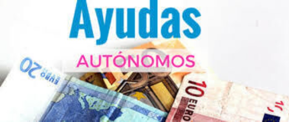 Ayudas autonomos