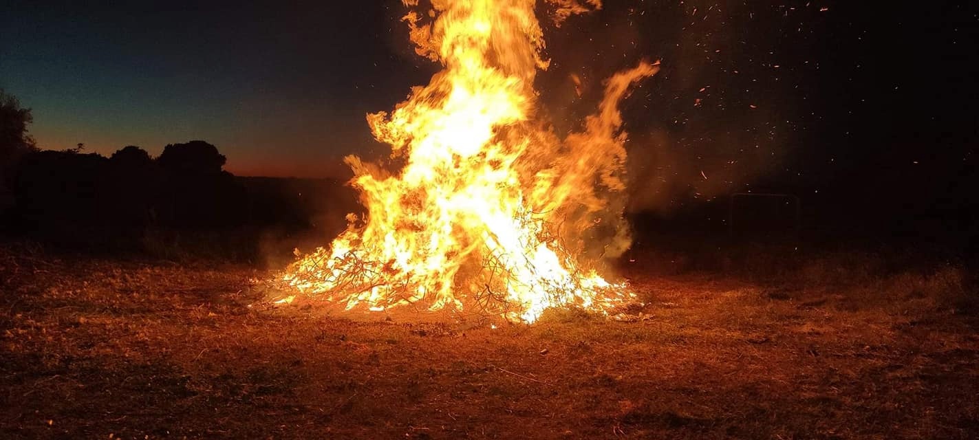 CANDELARIA PREVIA 2024 (1)