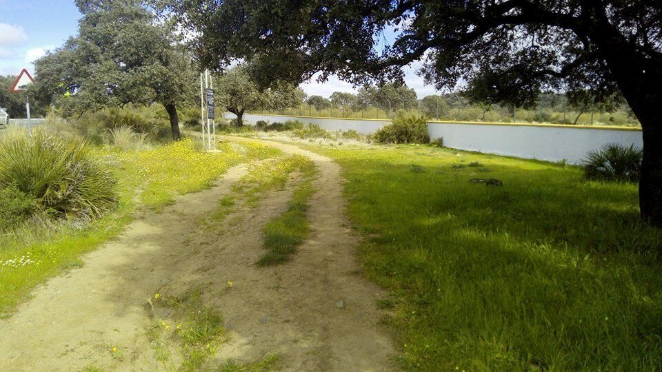 CARRIL BICI.14.02 (1)