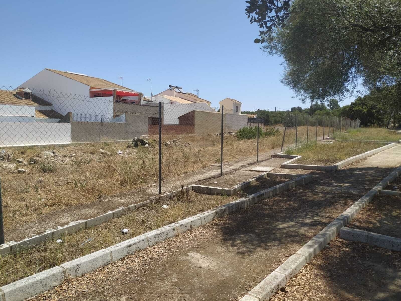 Callejón de la Mora 2021