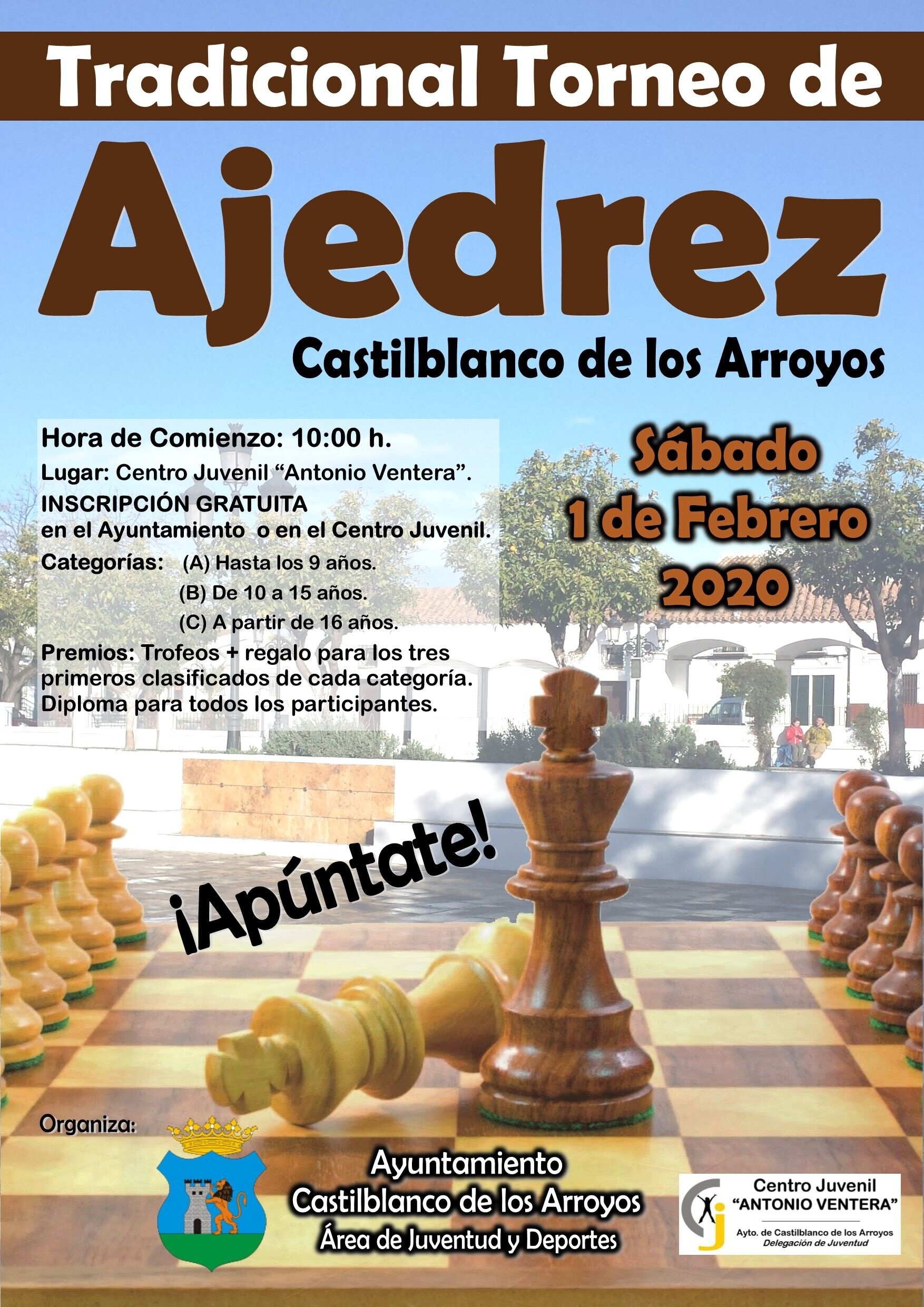 Cartel Campeonato de Ajedrez 2020-1