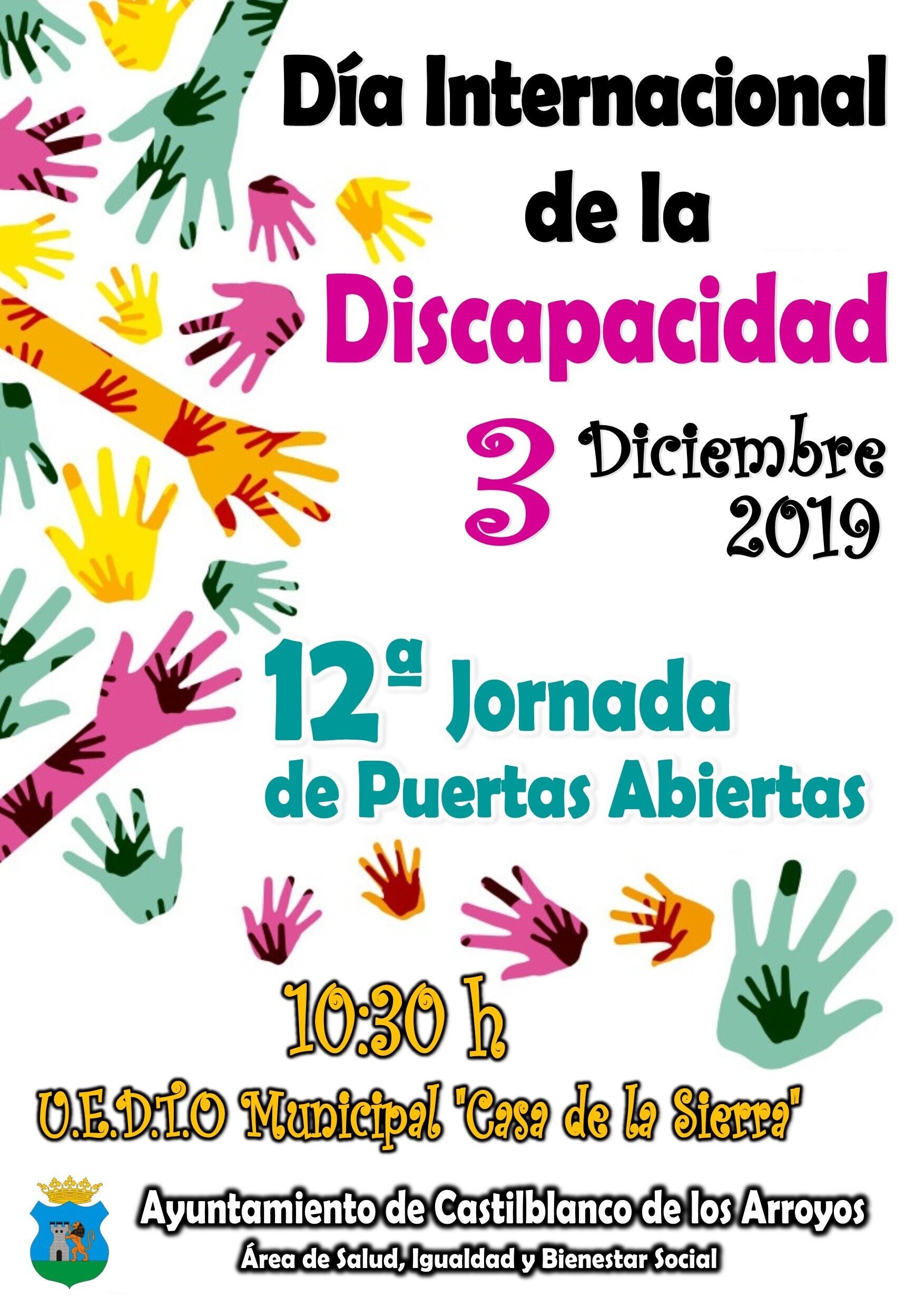 Cartel Discapacidad 2019