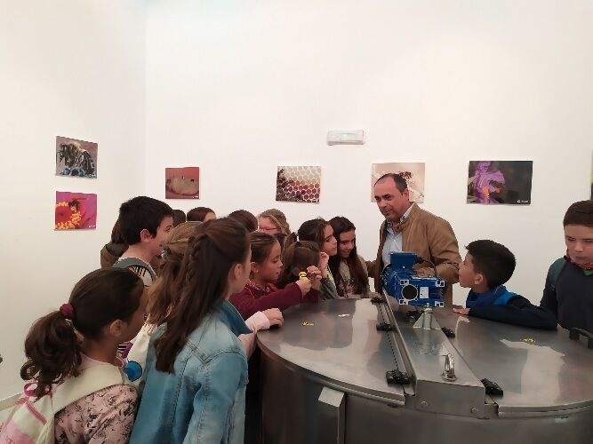 Convención Apicola26 (1)