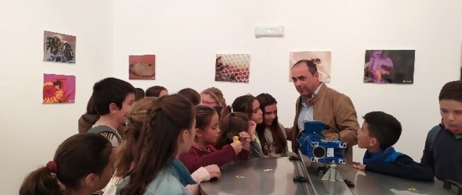 Convención Apicola26 (1)