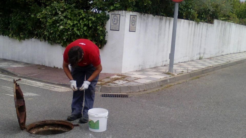 FUMIGACIÓN COPLAGA06.06 (1)