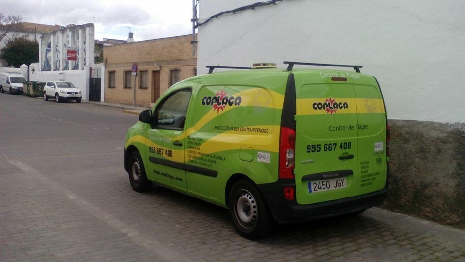 FUMIGACIÓN COPLAGA06.06 (3)