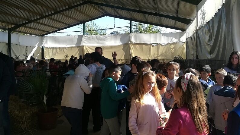 Feria Avícola 2018 (3)