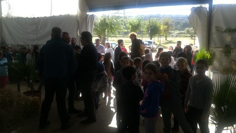 Feria Avícola 2018 (4)