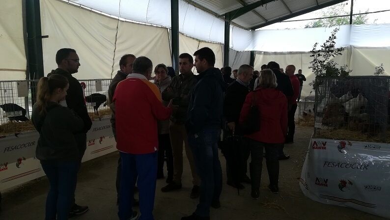 Feria Avícola 2018 (5)