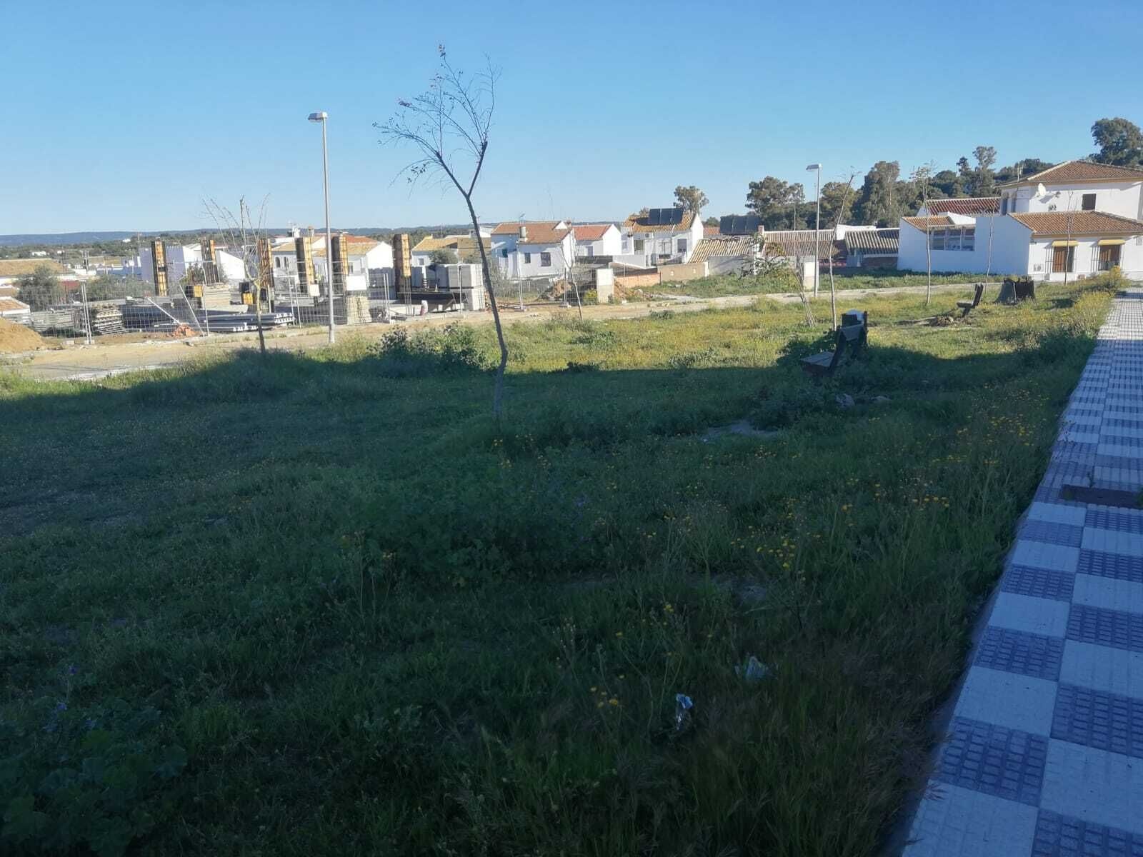 Inicio Obras Parque Canino.15.03 (2)