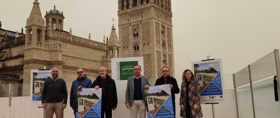 Jornada peregrinos 2