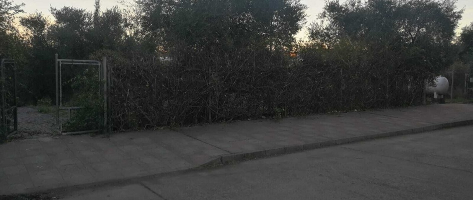 Parque Residencia1