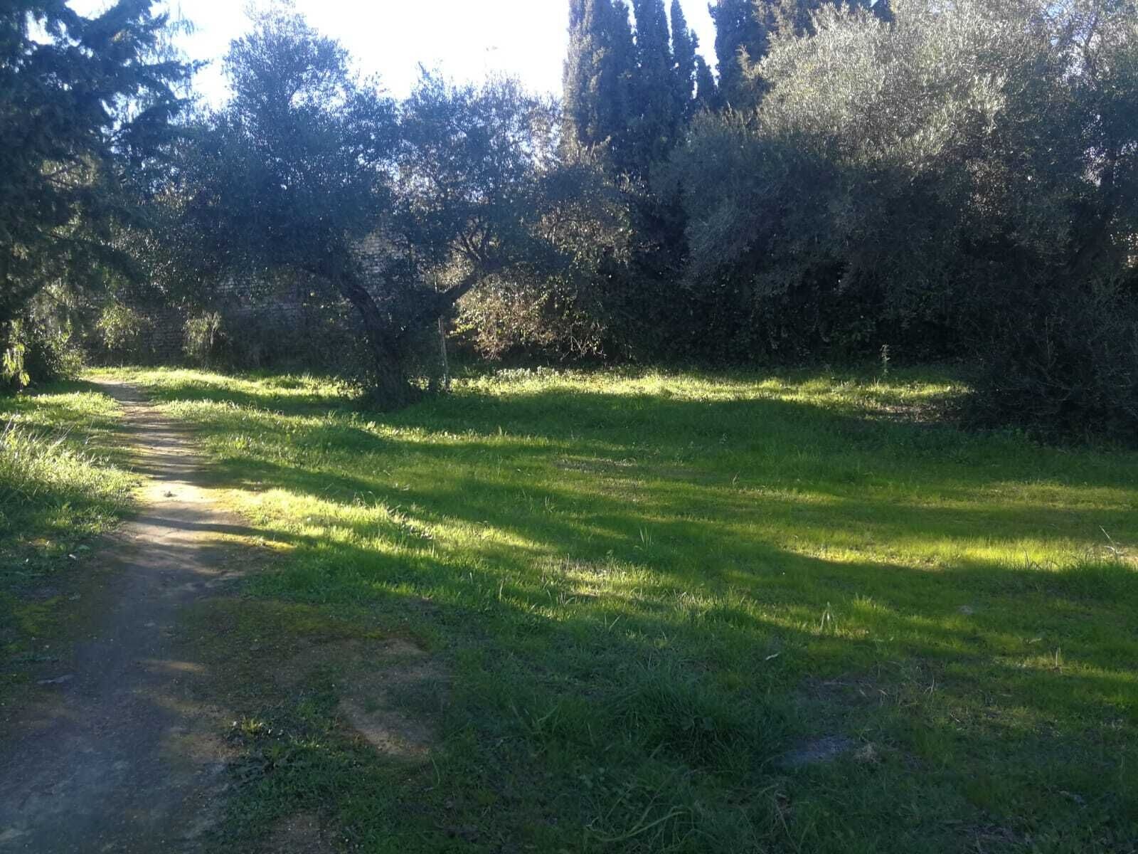Parque Residencia10