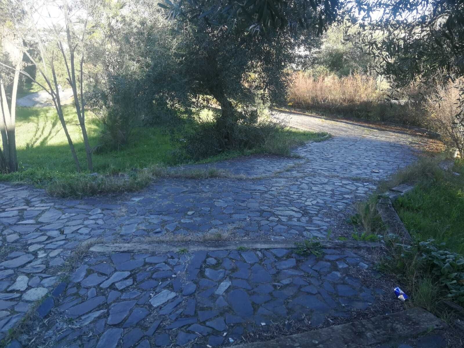 Parque Residencia13