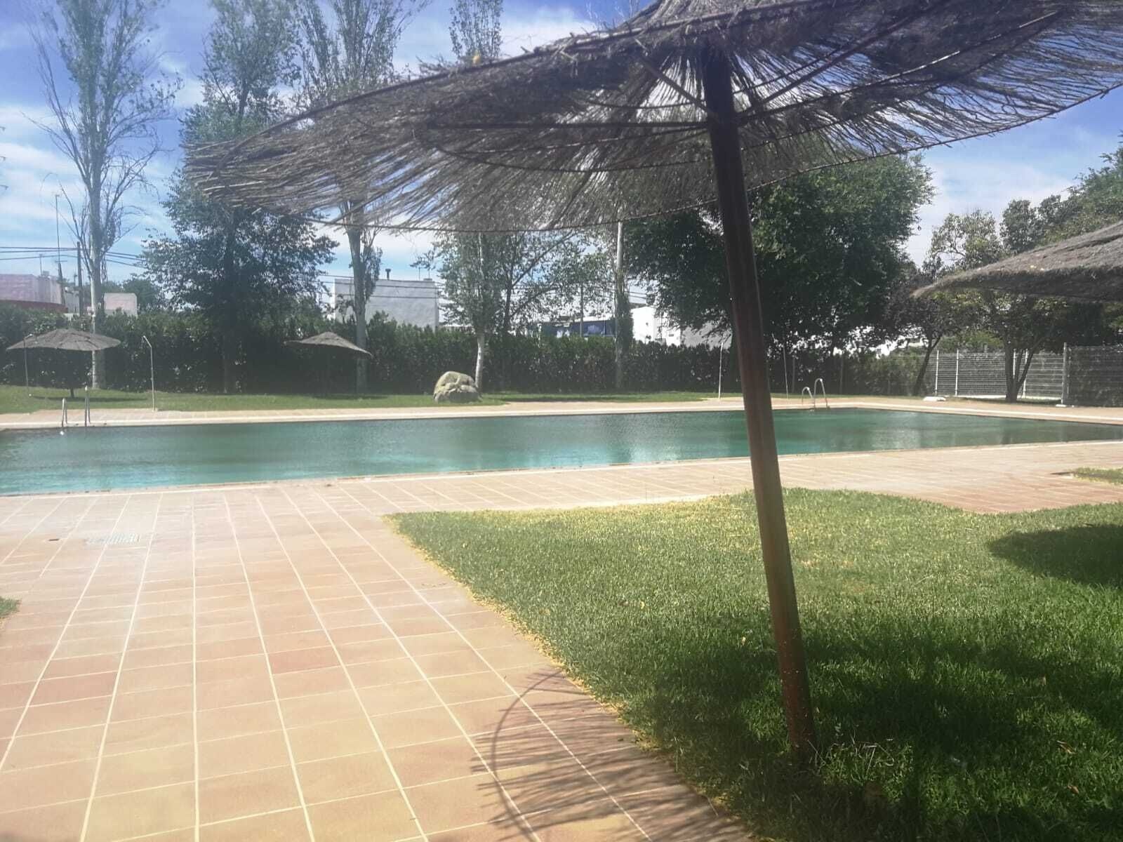 Piscina Municipal.06.06 (2)