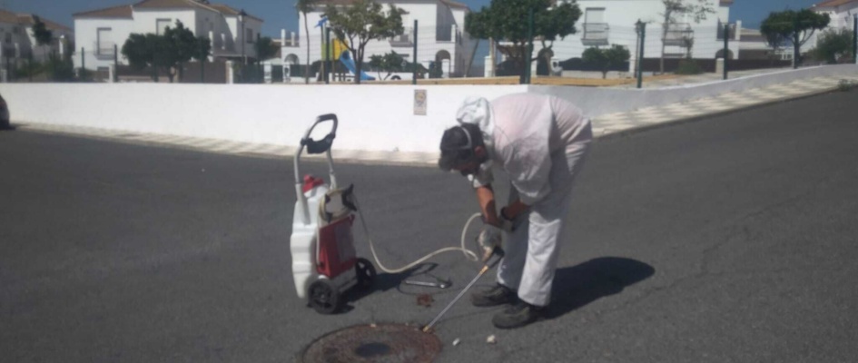 Plan de Actuación Coplaga.27.07 (21)